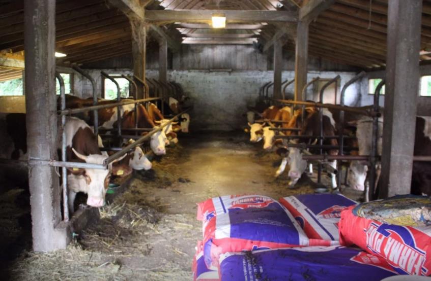 farma u konjevic polju