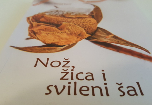 roman srebrenica 3