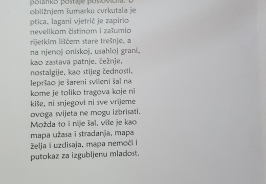 roman srebrenica 5