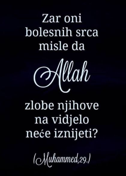 nurk pp s