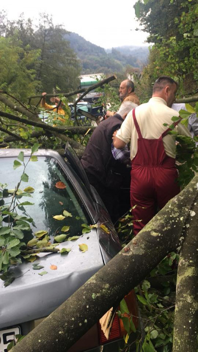 MILIĆI - ZVORNIK: Drvo palo na Audi, dvije osobe lakše povrijeđene 2 800x450 1