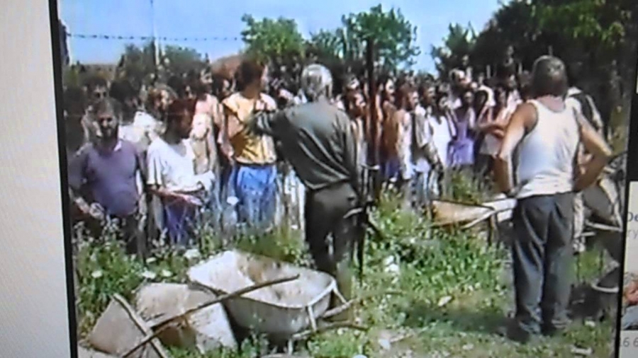 trnopolje
