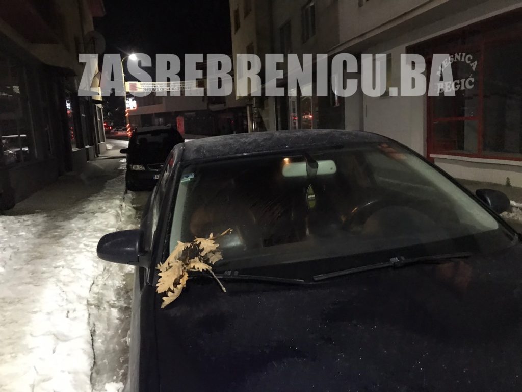 jebeni badnjak 1