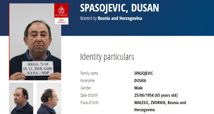dusan-spasojevic-1