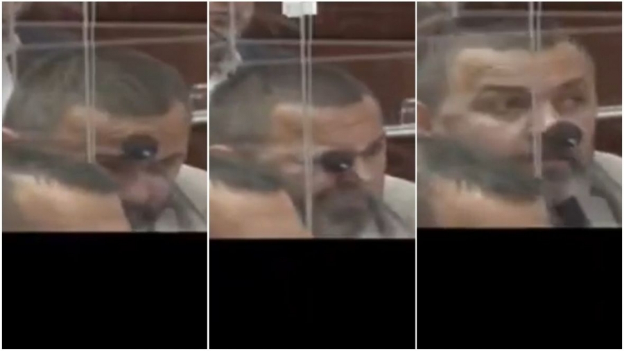 slobodan_stanarevic_demos_mikrofon_prtscr
