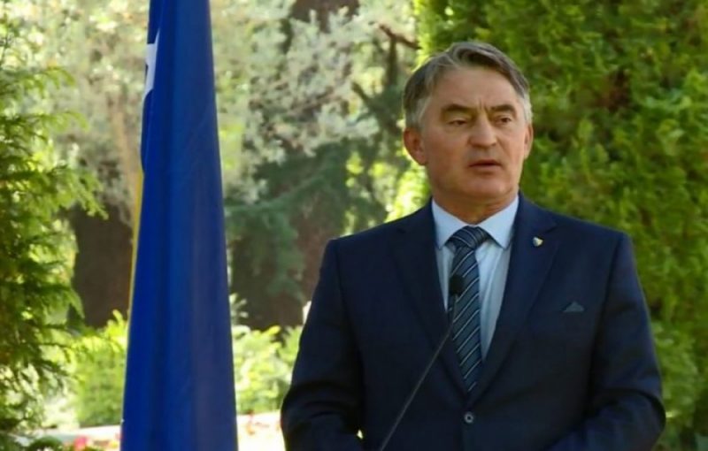 zeljko komsic foto n1