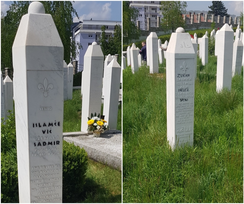 SEHIDSKO-MEZARJE4520221