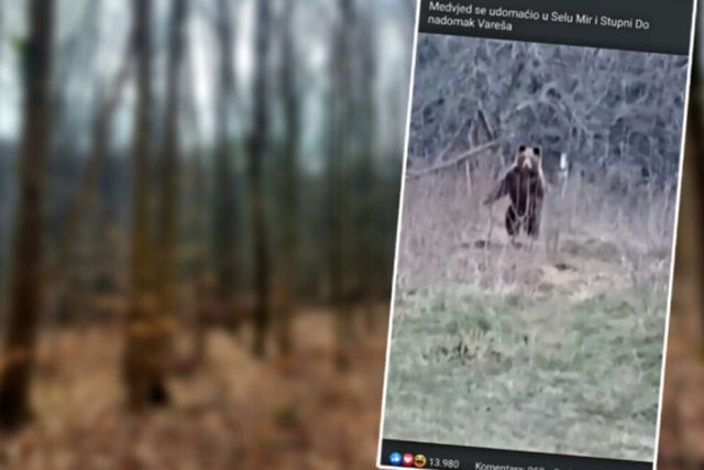 Čovjek iz sela u BiH sprijateljio se s medvjedom- Hajde ručaj moj medo Čovjek iz sela u BiH sprijateljio se s medvjedom: Hajde ručaj moj medo