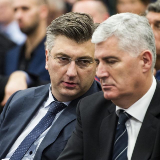 plenki_i_covic